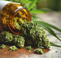 how long does marijuana stay in saliva e 1