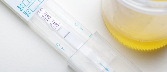 how long does marijuana stay in your urine test