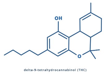 How long does marijuana stay in your urine