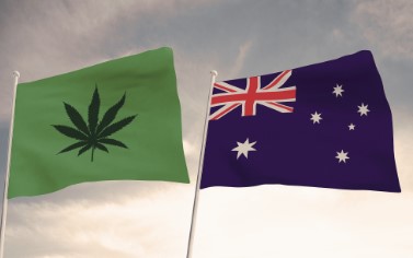 How many people use marijuana