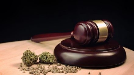 How many people use marijuana