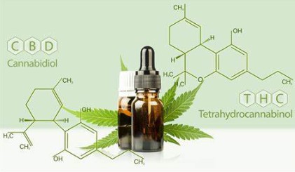 How to get a medical marijuanas card in Florida