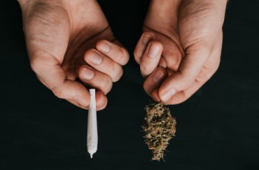 how to get a medical marijuanas card in pa d