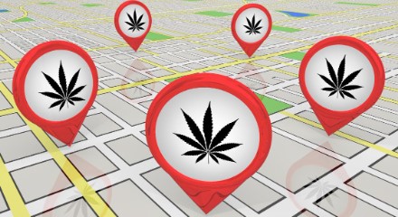 how to get medical marijuanas card ky for free b