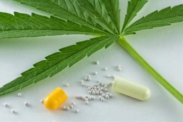 how to read a cannabis breeder description d