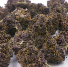 huckleberry trichomes