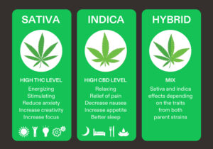 hybrid benefits