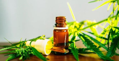 is cannabis marijuana med