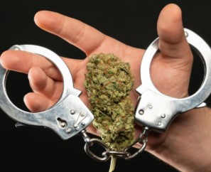 is marijuanas legalized in miami cr