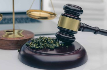 is marijuanas legalized in oklahoma f