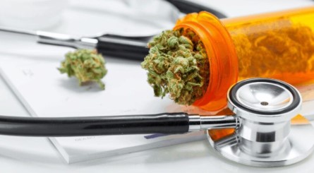 is marijuanas legalized in puerto rico mmm