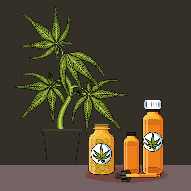 istockphoto 1143108535 612x612 1