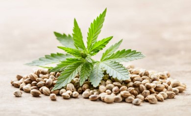 jack the ripper seeds