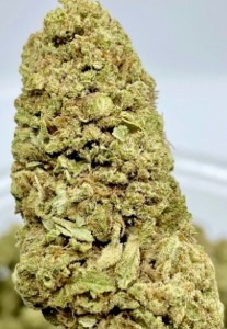 legend og appearance