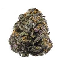 marijuana seeds minneapolis gra