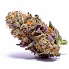 most colorful cannabis strains to grow gdp