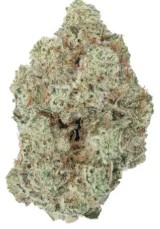 most popular cannabis seeds in 2025 f