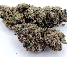 most popular cannabis seeds in 2025 g