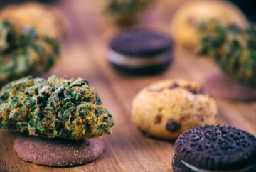 northern cream edibles