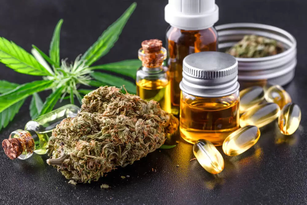 nyss first delivery only dispensary opens in albany