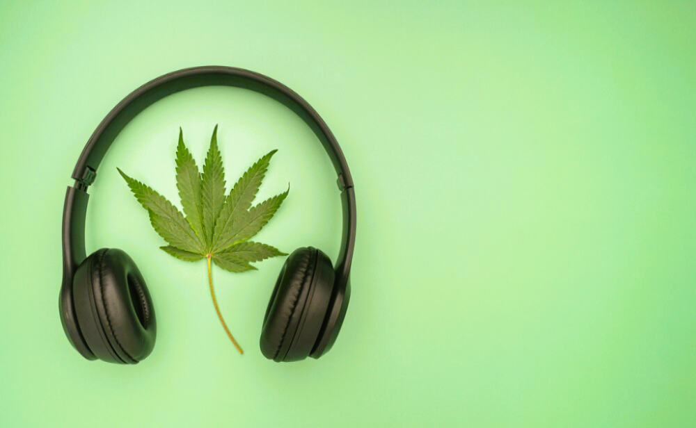Should You Play Music to Your Medical Cannabis Plants?