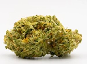 orange skunk appearance