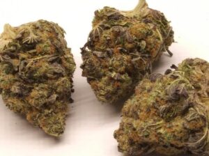 phantom cookies trichomes