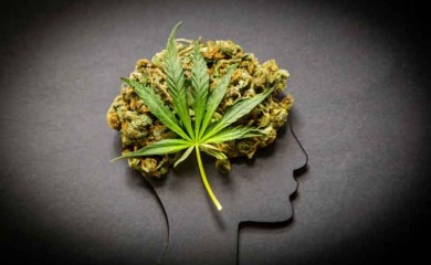 pre 98 bubba kush effect