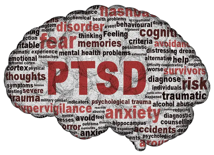 ptsd brain1 1