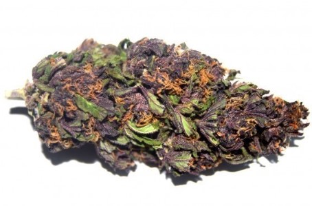 Purple Buddha