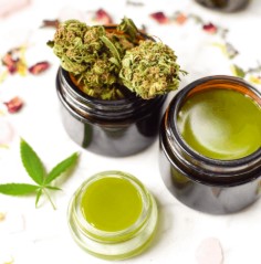 purple lemonade tincture