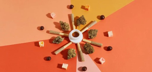 red congolese ingestion