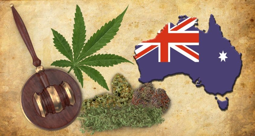 Restrictions on Using Cannabis in Australia in the Medical Field as a Last Resort