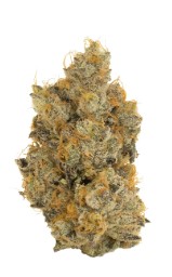 scooby snacks appearance