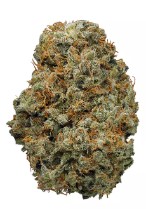 shiva skunk appearance 1