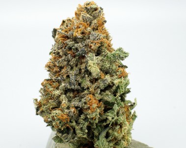 sour apple appearance