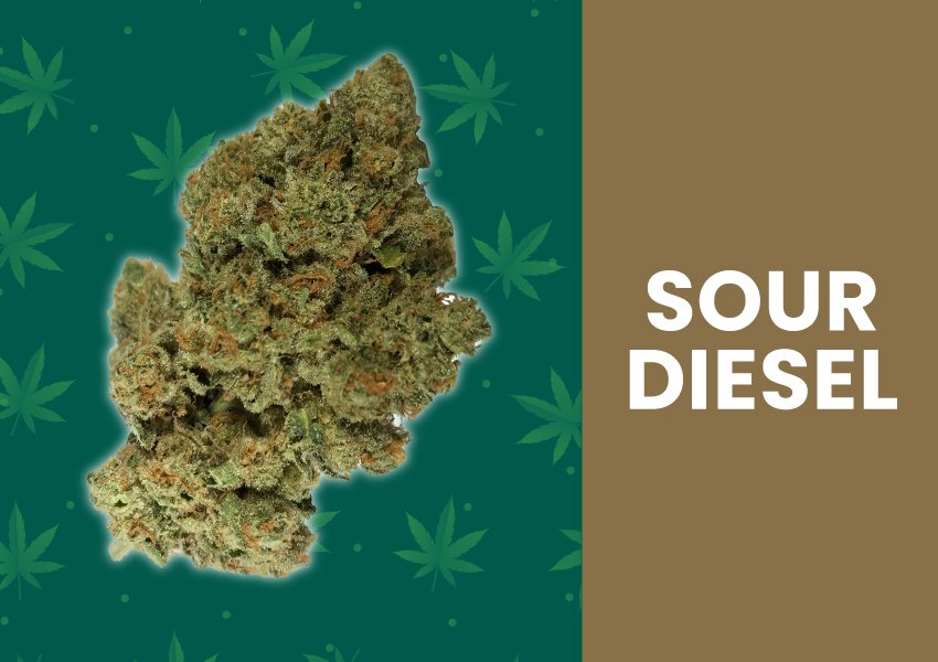 sour diesel weed strain photo 1