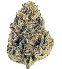 strains with legendary part genetics b