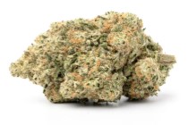 strains with legendary part genetics e