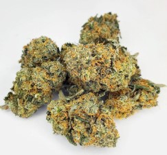 strains with legendary part genetics f