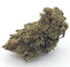 strains with legendary part genetics h