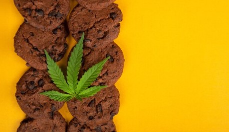 super bud edibles