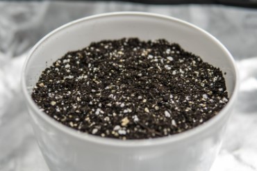 the best soil mix for germinating cannabis seeds e