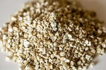 the best soil mix for germinating cannabis seeds f