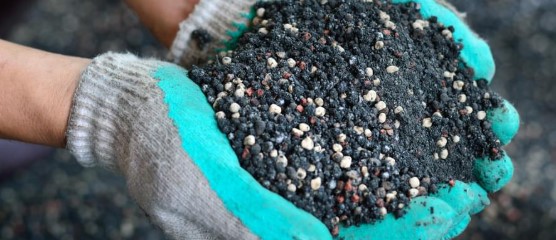 tips for growing autoflowers in 3 gallon pots b