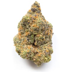 top 10 autoflower cannabis seeds in 2025 g