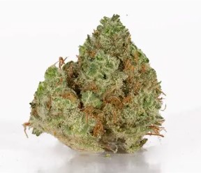 top 10 autoflower cannabis seeds in 2025 h