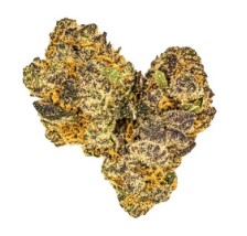 top 10 cannabis seeds for 2025 d