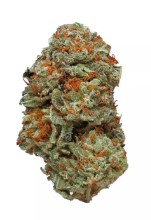 top 10 cbn strains lc