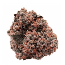 top 10 cbn strains s